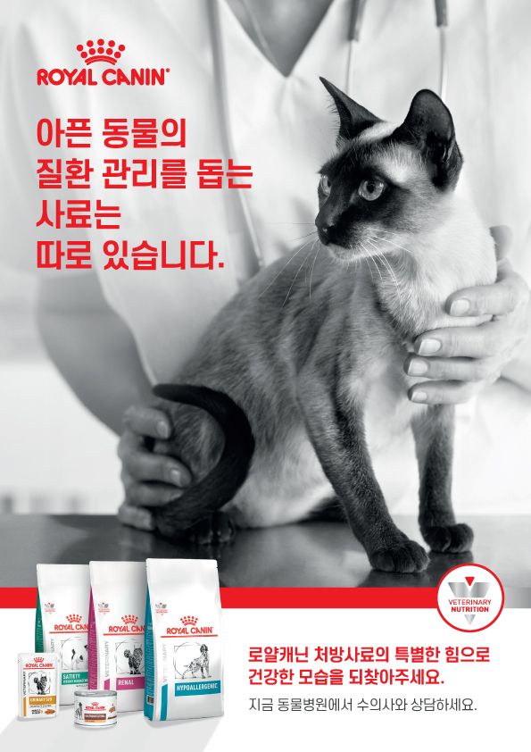 로얄캐닌의 '처방사료 캠페인' 홍보 이미지. 로얄캐닌코리아 제공
