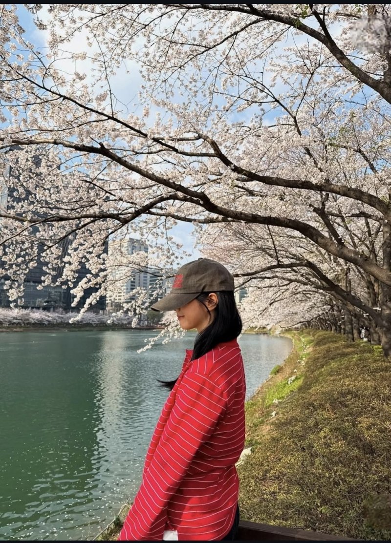 혜리, 벚꽃놀이 인증샷…모자에 가려진 얼굴
