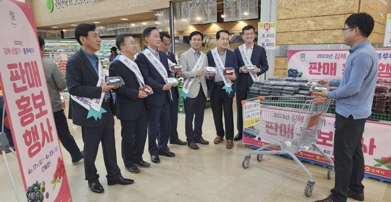 산딸기 판매홍보행사 (출처=연합뉴스)