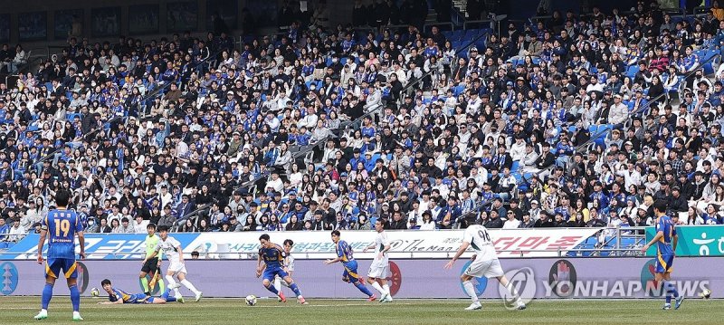 현대가 더비 지켜보는 관중 (출처=연합뉴스)