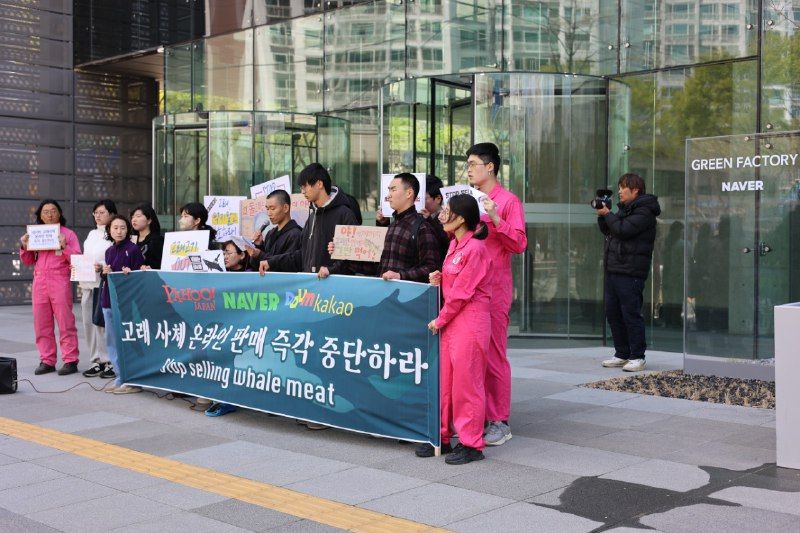 핫핑크돌핀스를 비롯한 전국 8개 시민사회단체들이 15일 네이버 본사 앞에서 고래고기 판매 중단을 촉구하는 기자회견을 갖고 있다. 핫핑크돌핀스 제공