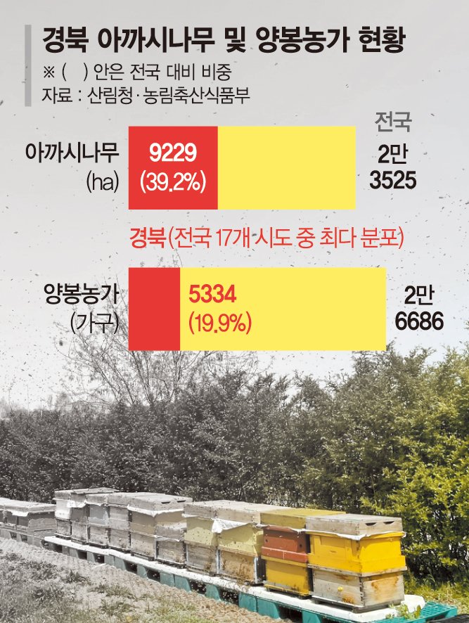 영남 산불에 꿀벌 떼죽음… 꿀값 더 뛴다