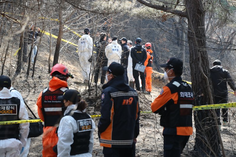31일 경북 의성군 안평면 괴산리 산불 발생현장에서 국립과학수사연구원 및 소방당국 관계자들이 합동 감식을 벌이고 있다. 2025.3.31/뉴스1 ⓒ News1 공정식 기자