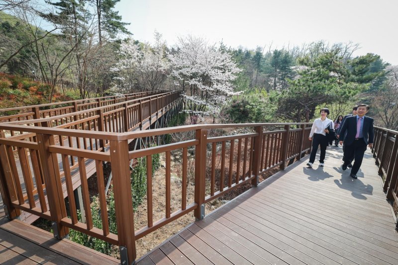 우면산 무장애숲길 2단계 구간 개방 (출처=연합뉴스)