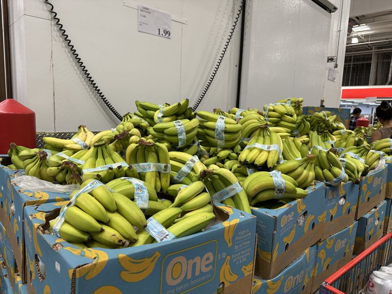미국 캘리포니아주 산타클라라 지역의 한 코스트코 매장에 콰테말라에서 수입된 바나나가 쌓여있다. 사진=홍창기 기자