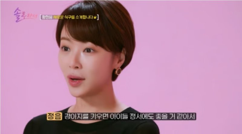 황정음, '안락사 위기' 유기견 입양 "두 아들 정서에 좋을 듯"