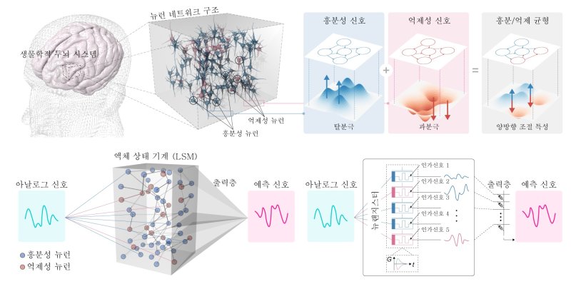 뇌 신경망의 특성을 반도체로 구현한 뉴랜지스터 개발 연구 개념도. (KAIST 제공. 재판매 및 DB금지) /뉴스1