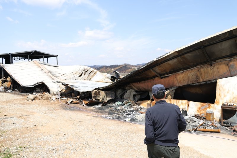 불에 타 전소된 사과 저온 저장창고 (출처=연합뉴스)