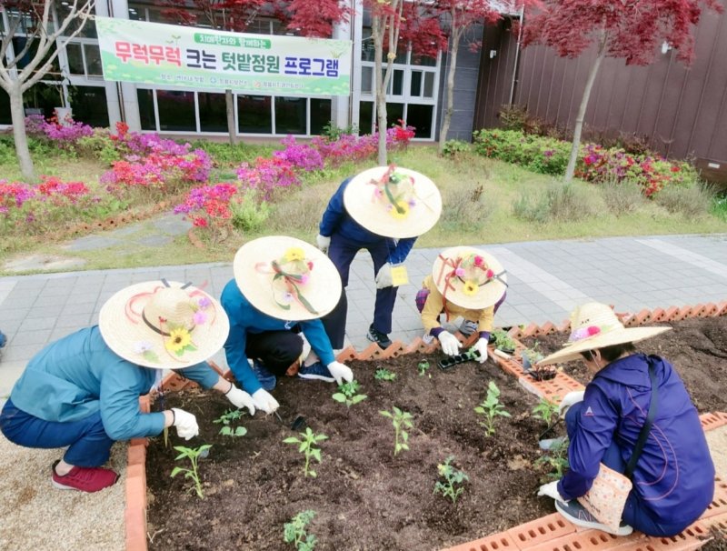 정읍시 치매 어르신 위한 '기억텃밭'(정읍시 제공. 재판매 및 DB금지)