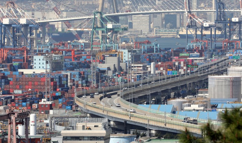 7일 부산항 감만부두 야적장에 컨테이나가 가득 쌓여 있다. 2025.4.7/뉴스1 ⓒ News1 윤일지 기자