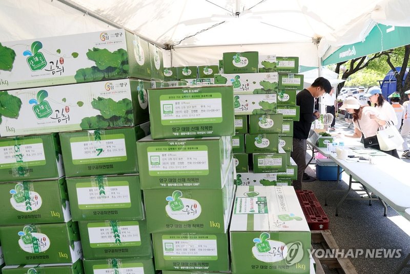 "청정 봄나물 구경오세요"...5월 황금연휴 강원도내 축제 풍성
