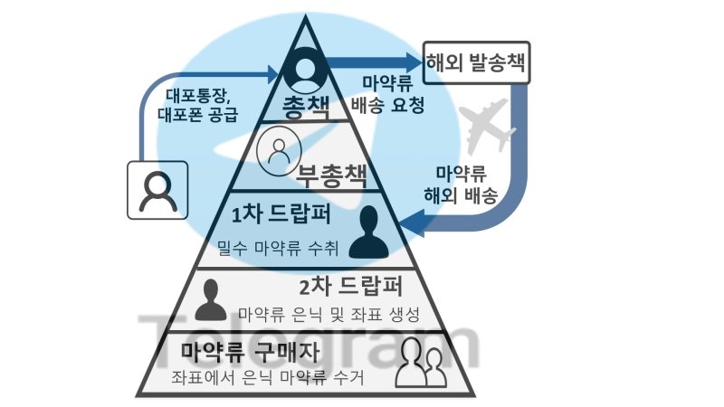 범죄조직도.(서울중앙지검 제공)