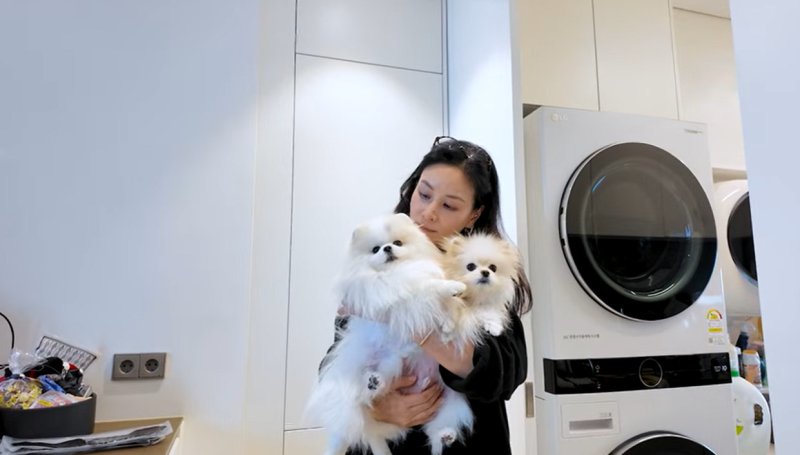 고소영, 장동건 위해 차린 정성 가득 생일상 "우리 신랑"…이름 새긴 접시까지