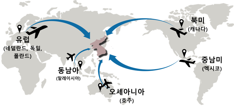 사건 개요도 /사진=서울중앙지검
