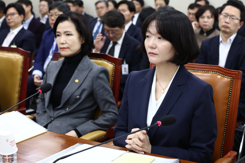 AI 경쟁사 광고 중단…네이버 최수연 대표 "잘못한 일, 반성"