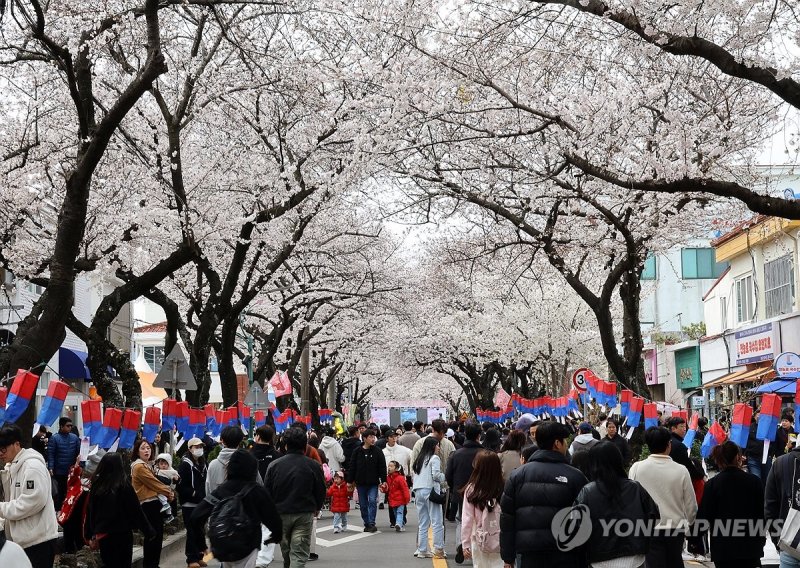 ‘순대 6개 2만 5000원’ 논란 그 축제… 이번엔 '집단 식중독'까지