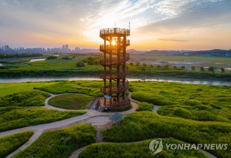 시흥 갯골생태공원 (출처=연합뉴스)