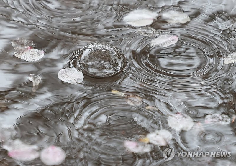 주말 비 소식…토요일 아침 수도권·강원부터 시작해 전국 확대 (출처=연합뉴스)