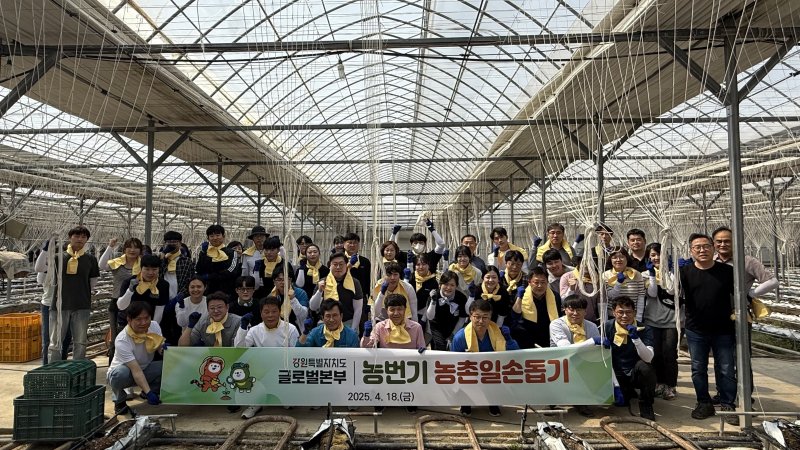강원도 글로벌본부는 18일 강릉 사천면의 한 파프리카 농가를 찾아 파프리카 순 따기와 주변 환경 정비, 풀 뽑기 등 다양한 작업을 하며 일손을 도왔다.(강원특별자치도 제공. 재판매 및 DB금지)/뉴스1