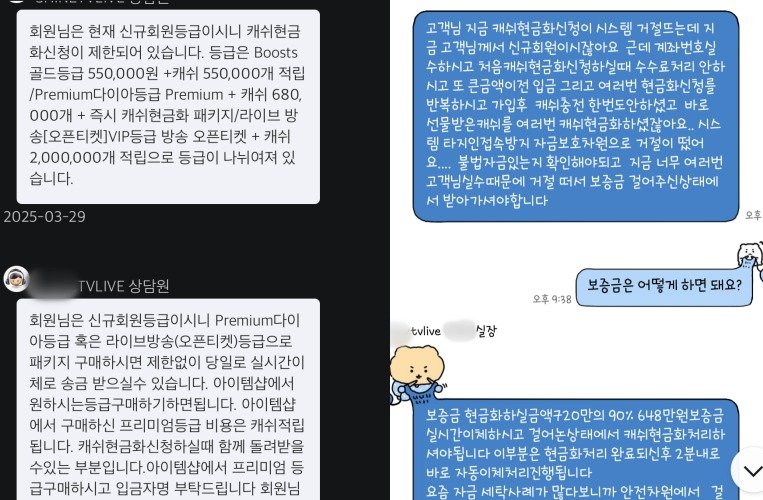 피해자 A 씨가 개인방송 플랫폼 사칭 사기 가해자와 나눈 상담. 환전을 위해서는 송금이 더 필요하다고 피해자에게 설득하고 있다. / 뉴스1 박혜연 기자