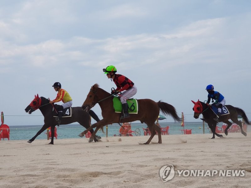 곽지해수욕장서 열린 제주마 해변경주 (출처=연합뉴스)
