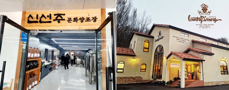 청주 '신선주' 문화양조장과 영동 컨츄리 와이너리 (출처=연합뉴스)