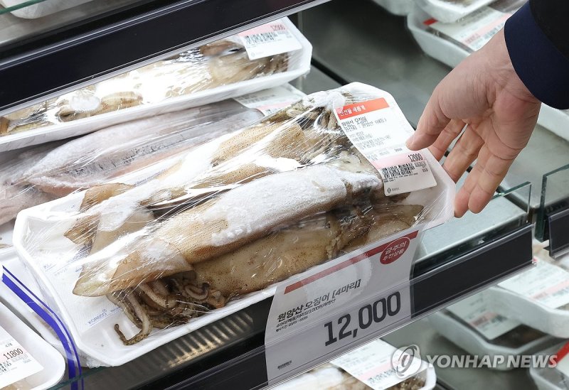 고공행진 하는 오징어 가격 (출처=연합뉴스)