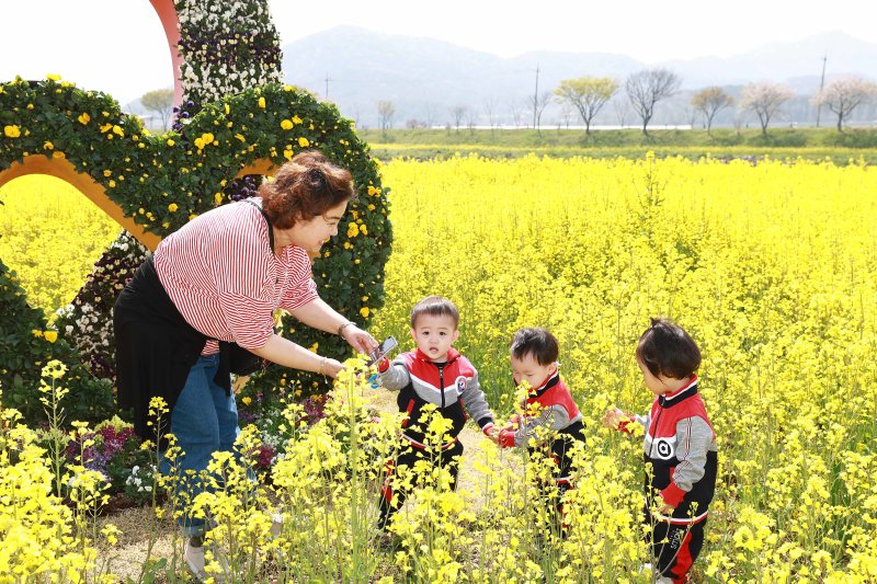 화순 봄꽃축제가 열리는 꽃강길 유채밭.(화순군 제공, 재배포 및 DB금지) /뉴스1