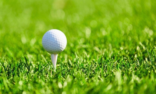 혹시 집 주변에 골프장?…'이 병' 걸릴 위험 최대 126% 높아진다