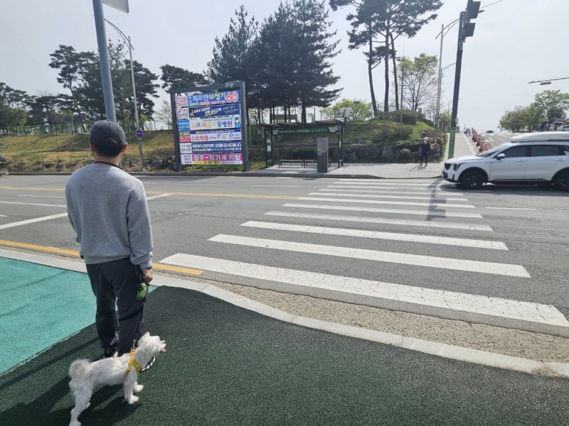 지난 18일 오후 문암생태공원으로 산책을 나온 시민이 횡단보도를 건너기 위해 대기하고 있다./뉴스1 이재규 기자