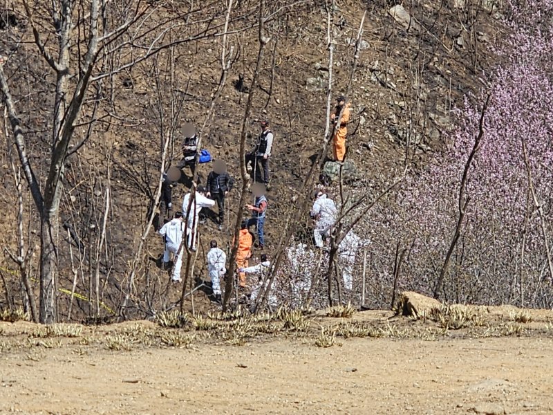 경남경찰청과 국립과학수사연구원이 4일 오전 11시부터 경남 산청·하동 대형 산불의 최초 발화지점에서 합동 감식을 진행하고 있다. 2025.4.1/뉴스1 ⓒ News1 한송학 기자