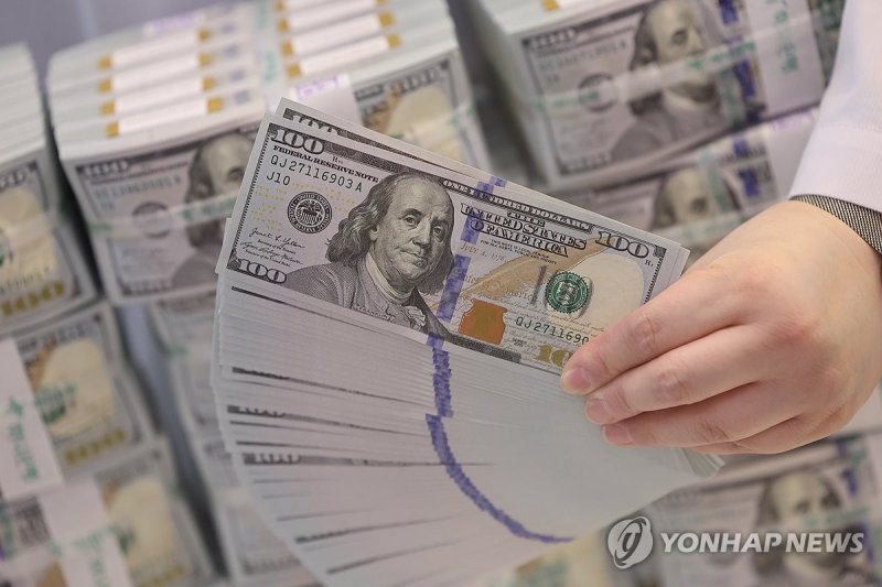 달러 약세에 '저가 매수' 나선 투자자들 (출처=연합뉴스)