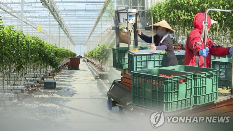 외국인 계절근로자 (출처=연합뉴스)