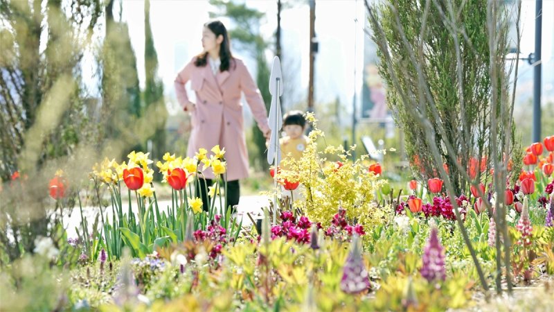 국립세종수목원 꽃길 (출처=연합뉴스)