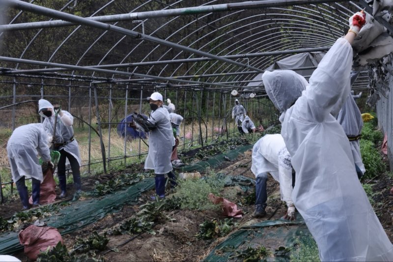 [세종=뉴시스]한국산업단지공단 임직원은 22일 산불 피해를 입은 의성군 지역 농작물 재배시설에 방문하여 피해 복구활동을 진행했다.(사진=산단공 제공) *재판매 및 DB 금지