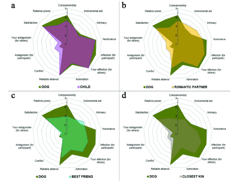 "절친이나 자식보다 편안한 너"...반려견에게 인간이 느끼는 감정 연구했더니