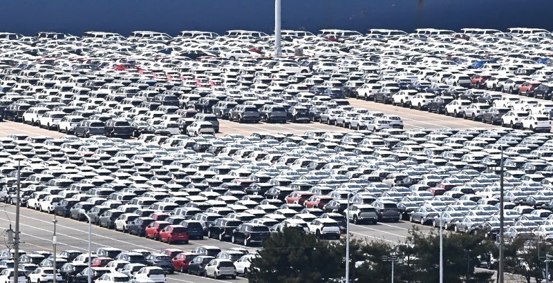 [평택=뉴시스] 김종택 기자 = 경기 평택항 자동차 전용부두에 선적을 기다리는 수출용 차량이 세워져 있다. 2025.04.21. jtk@newsis.com