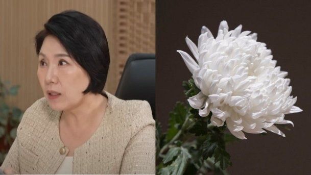 사진=SNS 캡처