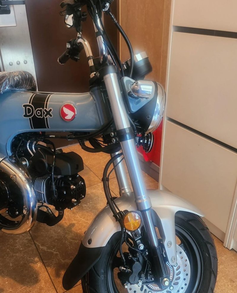 최강희, 단발로 파격 변신 "새 가족 맞았다"