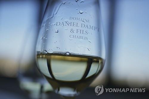 잔에 담긴 화이트 와인 (출처=연합뉴스)