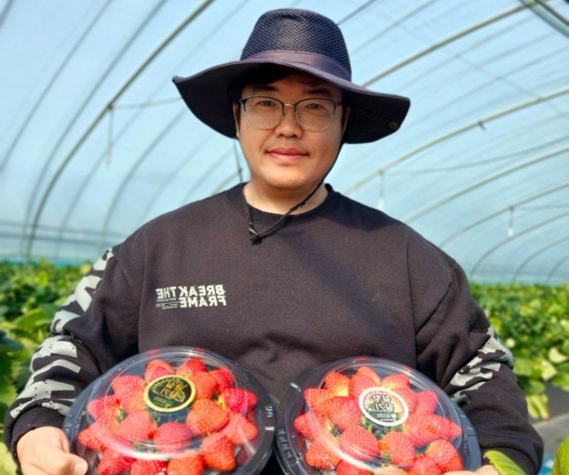 '열정딸기' 김정재 씨 (출처=연합뉴스)