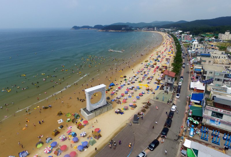 [태안=뉴시스] 만리포 바카라사이트 기가 (사진=뉴시스 DB). photo@newsis.com *재판매 및 DB 금지