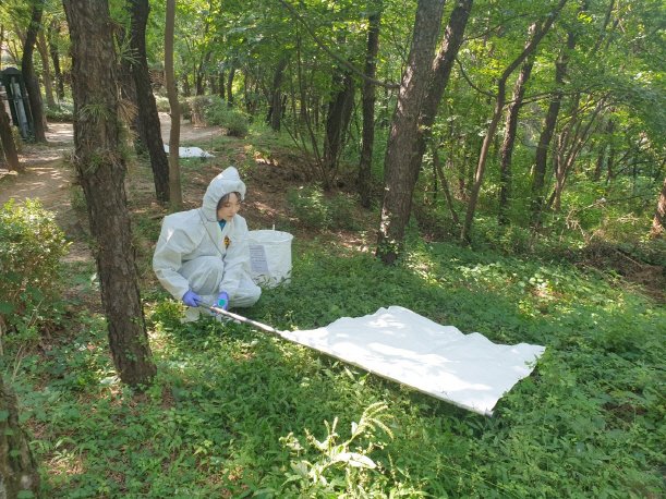 [서울=뉴시스] 참해시 게임 바카라 채집. (사진=뉴시스 DB). photo@newsis.com *재판매 및 DB 금지