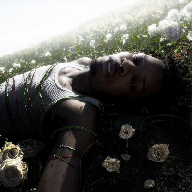 '대세 Z세대 싱송라' 데이비드(d4vd), 정규 1집 발매…"꽃 같은 사랑 생로병사"