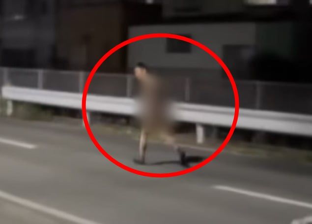 "나체로 시내 활보…20건 범행" 日남성 난동에 11명 사상