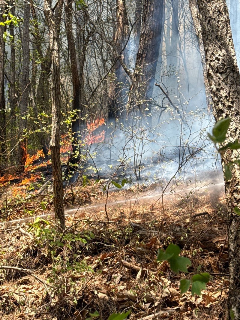 26일 강원도 인제군 상남면 야산에서 산불이 발생해 연기가 나고 있다. 산불이 확대되자 산림청은 이날 오후 2시 30분을 기해 '산불 1단계'를 발형하고 진화 작업 중이다.(강원도소방본부 제공, 재판매 및 DB 금지) 2025.4.26/뉴스1 ⓒ News1 윤왕근 기자