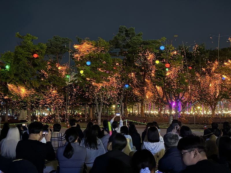 26일 밤 세종중앙·호수공원 일원에서 펼쳐진 2025세종낙화축제에서 관람객들이 낙화봉에서 쏟아지는 불꽃을 감상하고 있다.