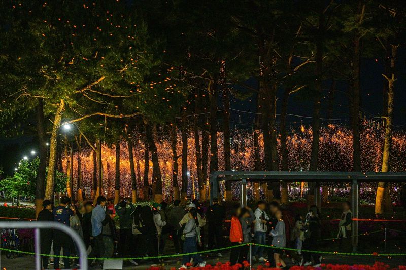 26일 밤 세종중앙·호수공원 일원에서 펼쳐진 2025세종낙화축제에서 관람객들이 낙화봉에서 쏟아지는 불꽃을 감상하고 있다.