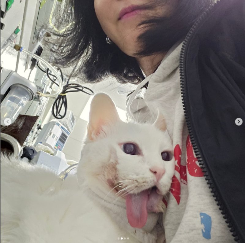 김정난 종양으로 턱 드러내는 수술한 18세 노묘, 회복 응원해주세요