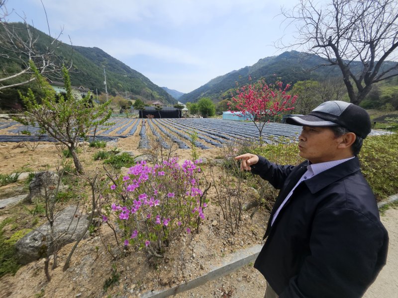강원 인제 산불을 최초 목격한 손해봉 하남 1리 이장이 27일 전날 산불 상황에 대해 설명을 하고 있다.2025.4.27 한귀섭 기자